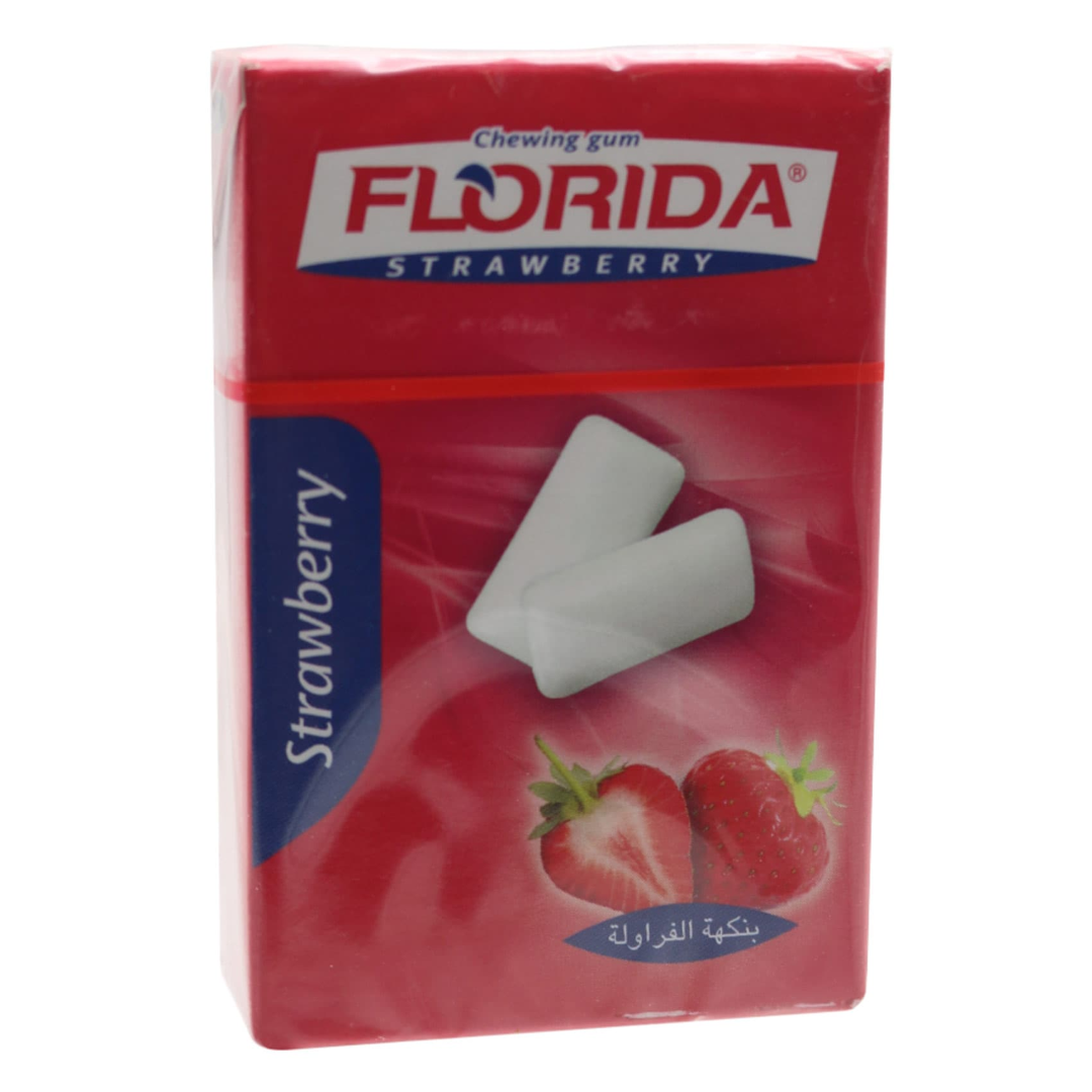 FLORIDA STRAWBERRY CHEWING GUM 16G